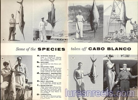 Cabo Blanco & Club Pins