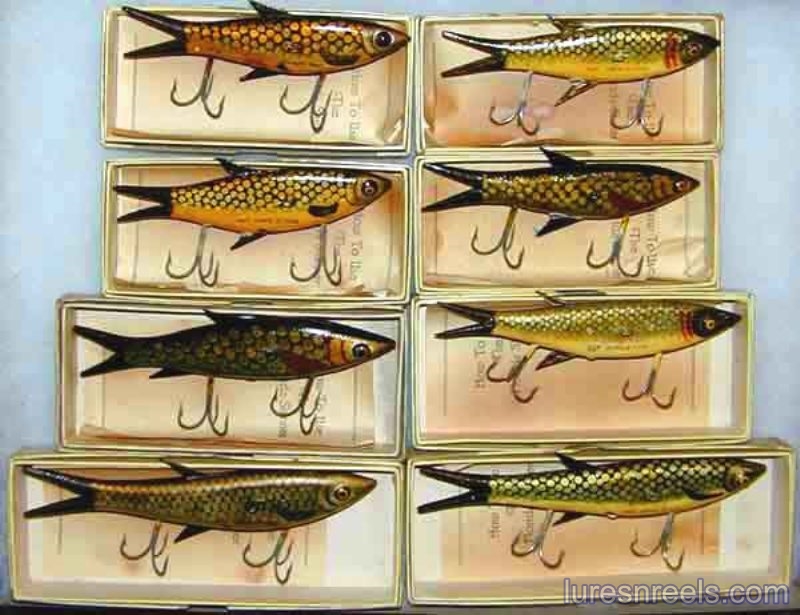 Flood Florida Shinner Bait